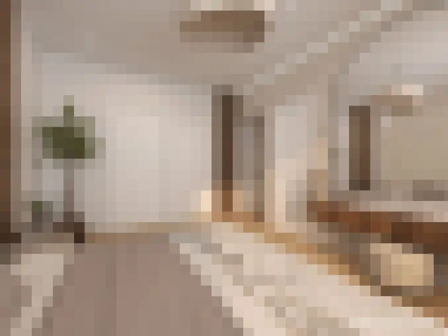 Aaltje Noordewierstraat 63 Den Haag thumbnail 12