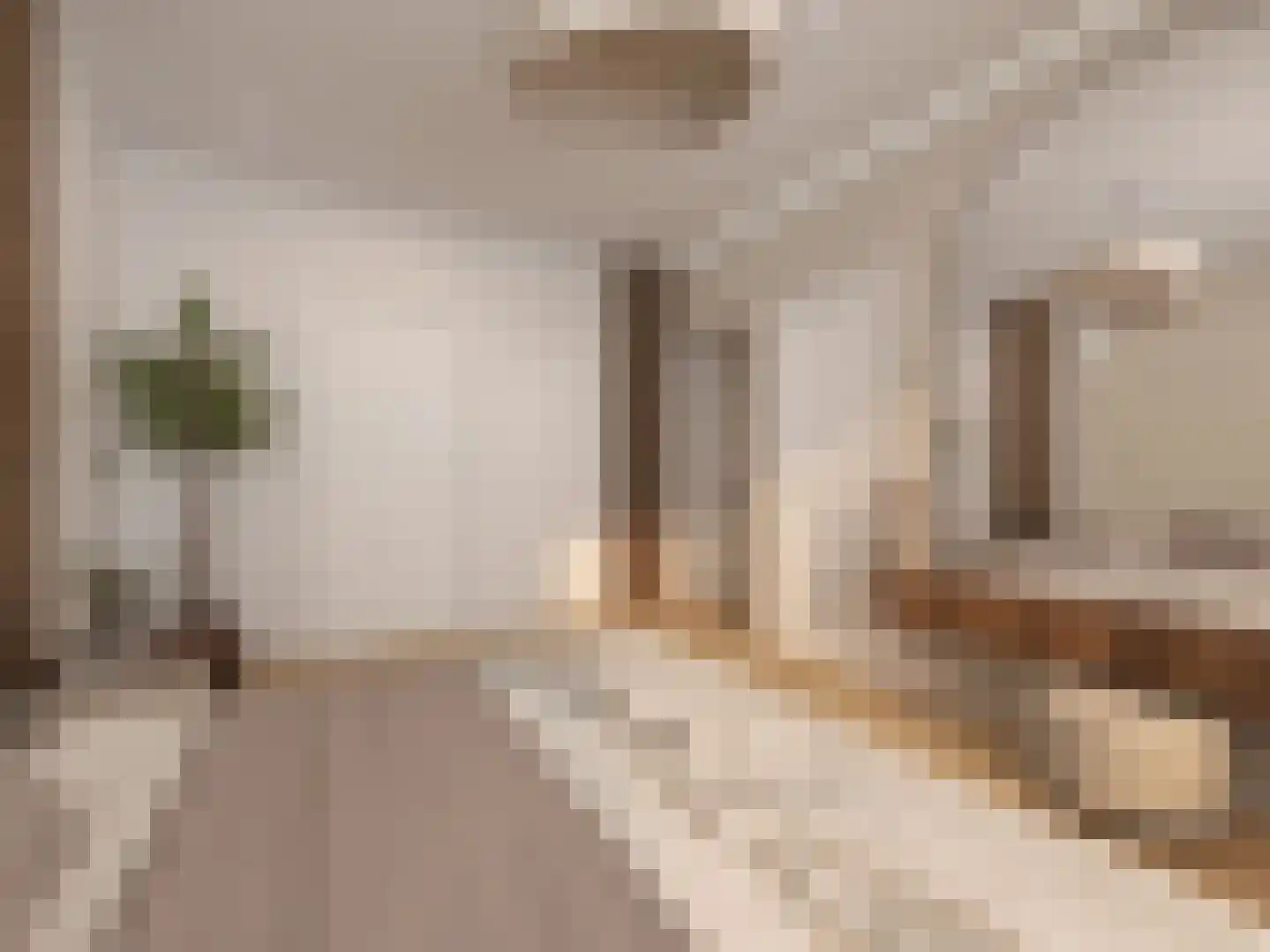 Aaltje Noordewierstraat 63 Den Haag thumbnail 12