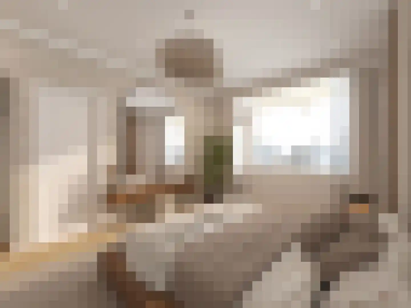 Aaltje Noordewierstraat 63 Den Haag thumbnail 13