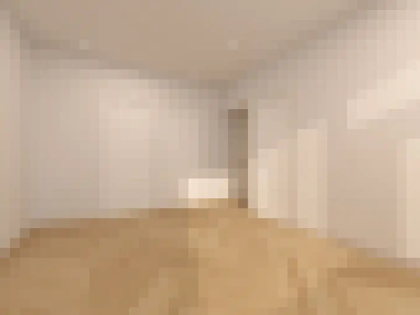 Aaltje Noordewierstraat 63 Den Haag thumbnail 14