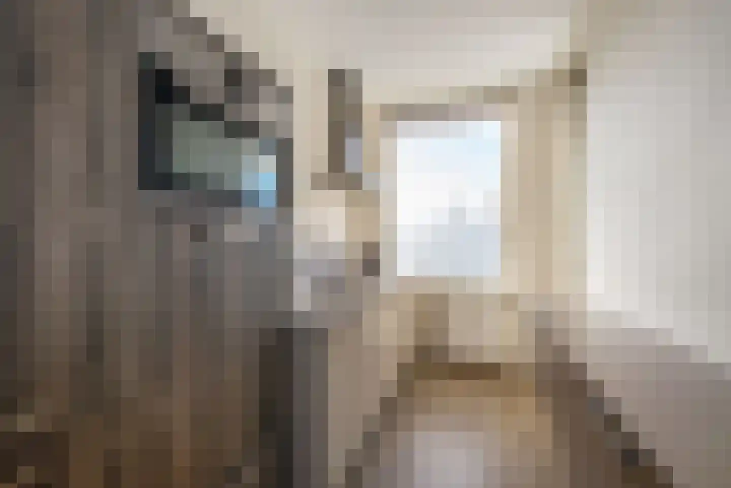Aaltje Noordewierstraat 63 Den Haag thumbnail 20