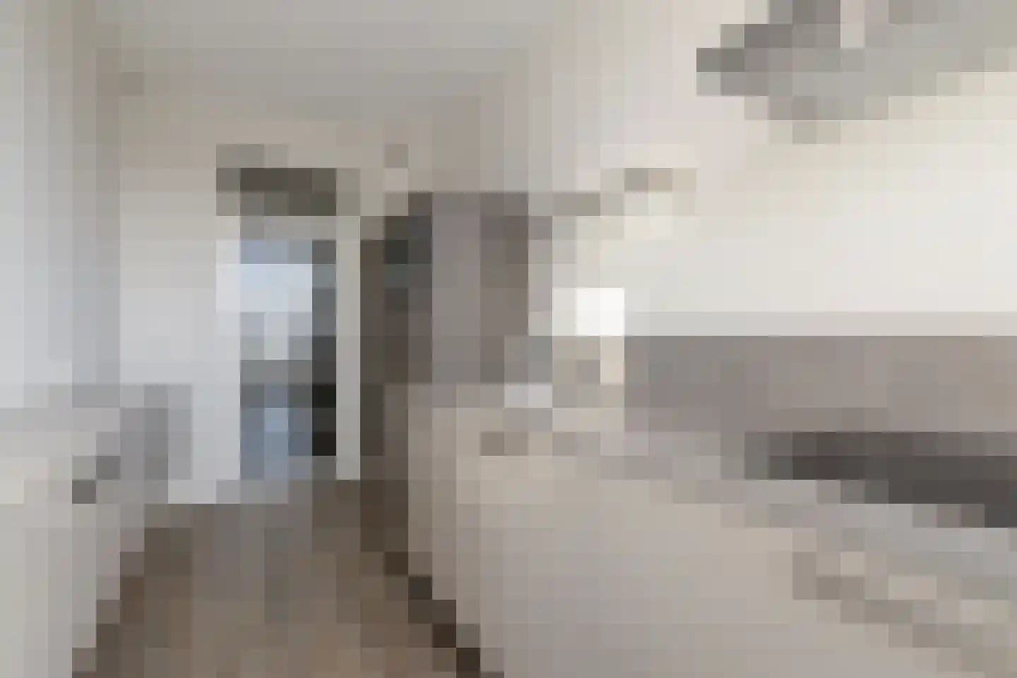 Aaltje Noordewierstraat 63 Den Haag thumbnail 21