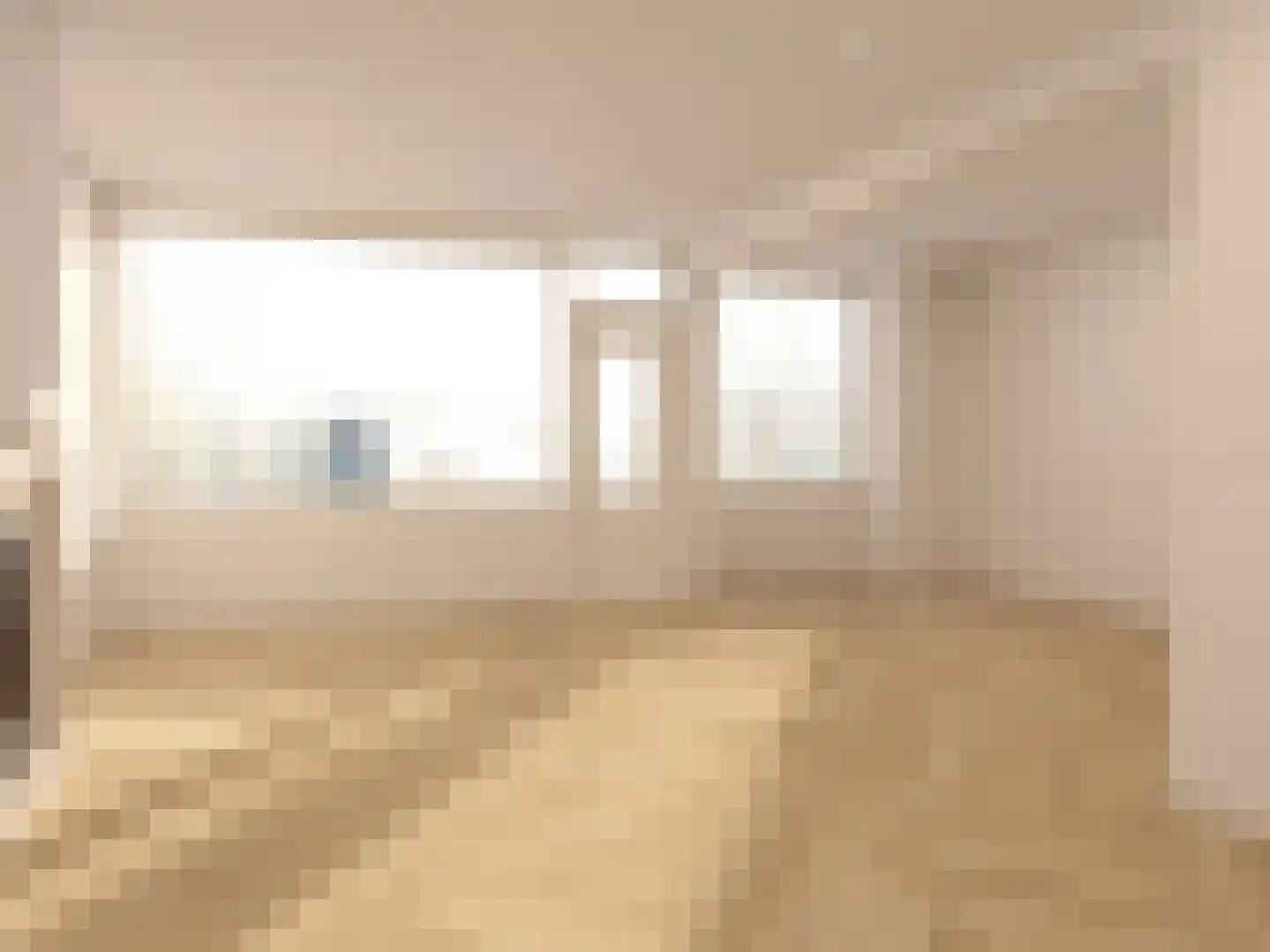 Aaltje Noordewierstraat 63 Den Haag thumbnail 5