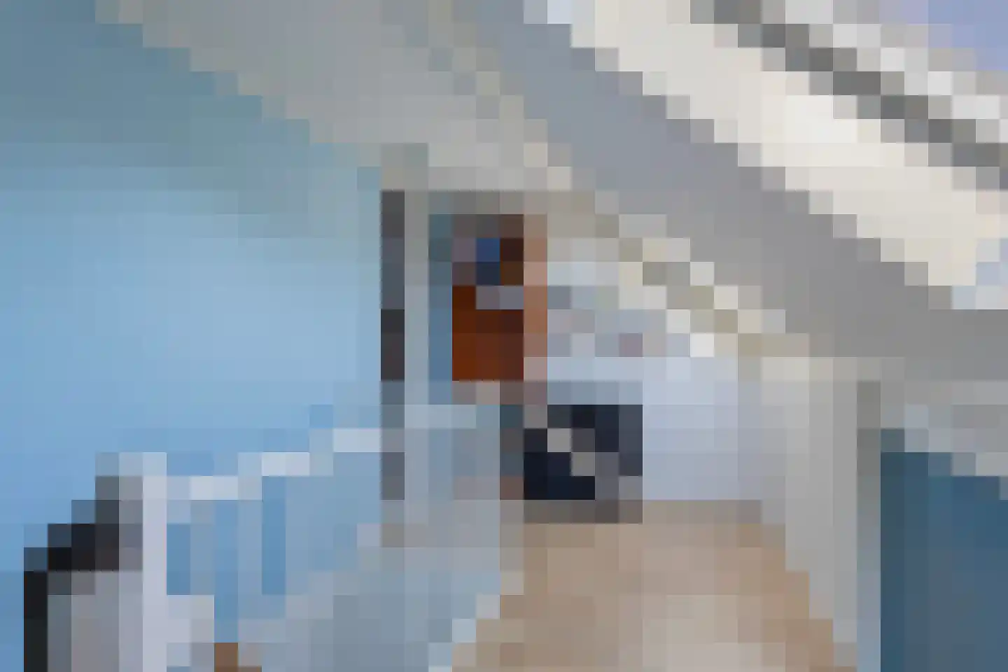Aaltje Noordewierstraat 63 Hengelo thumbnail 21