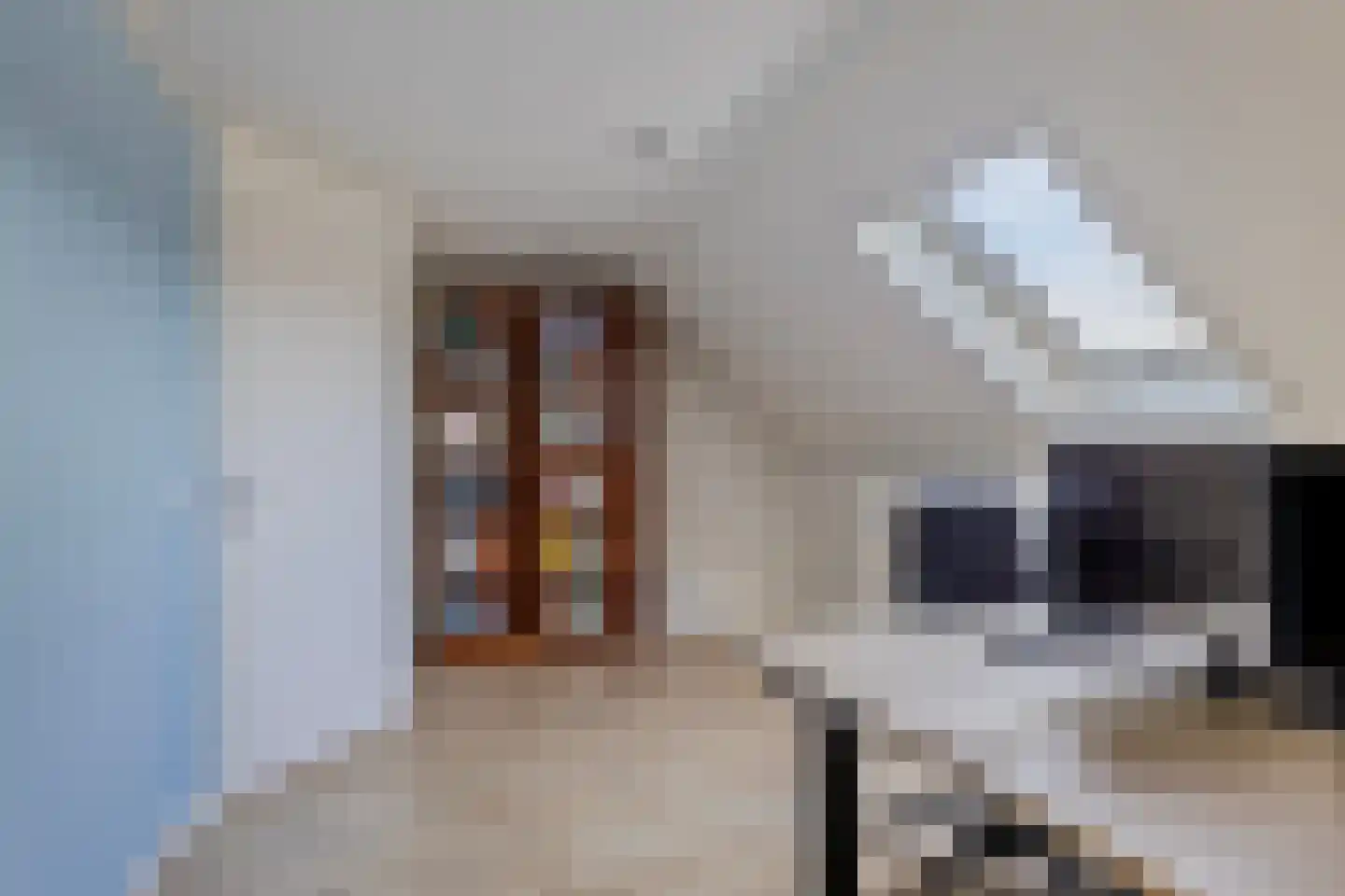Aaltje Noordewierstraat 63 Hengelo thumbnail 24