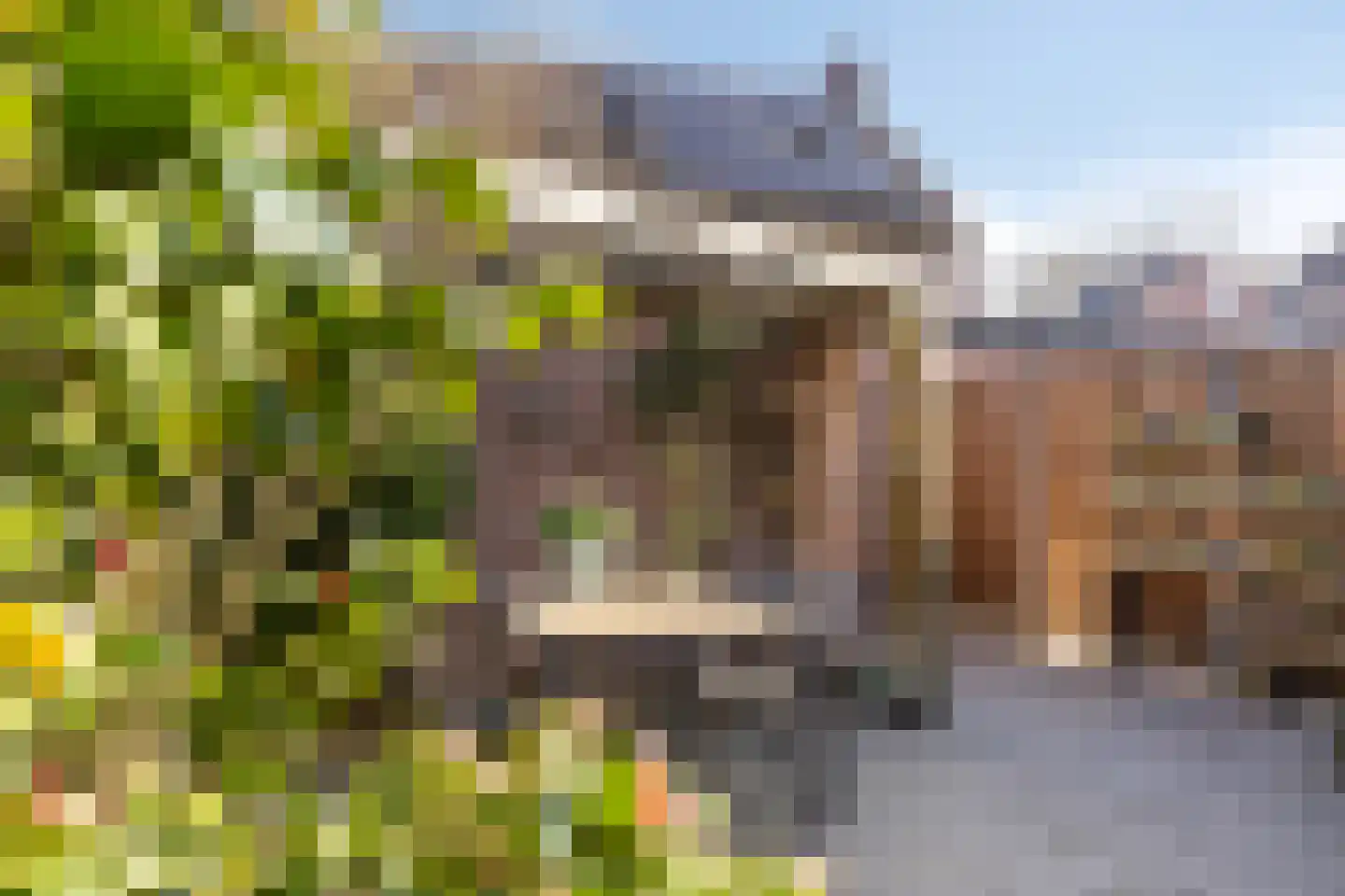Aaltje Noordewierstraat 63 Hengelo thumbnail 29