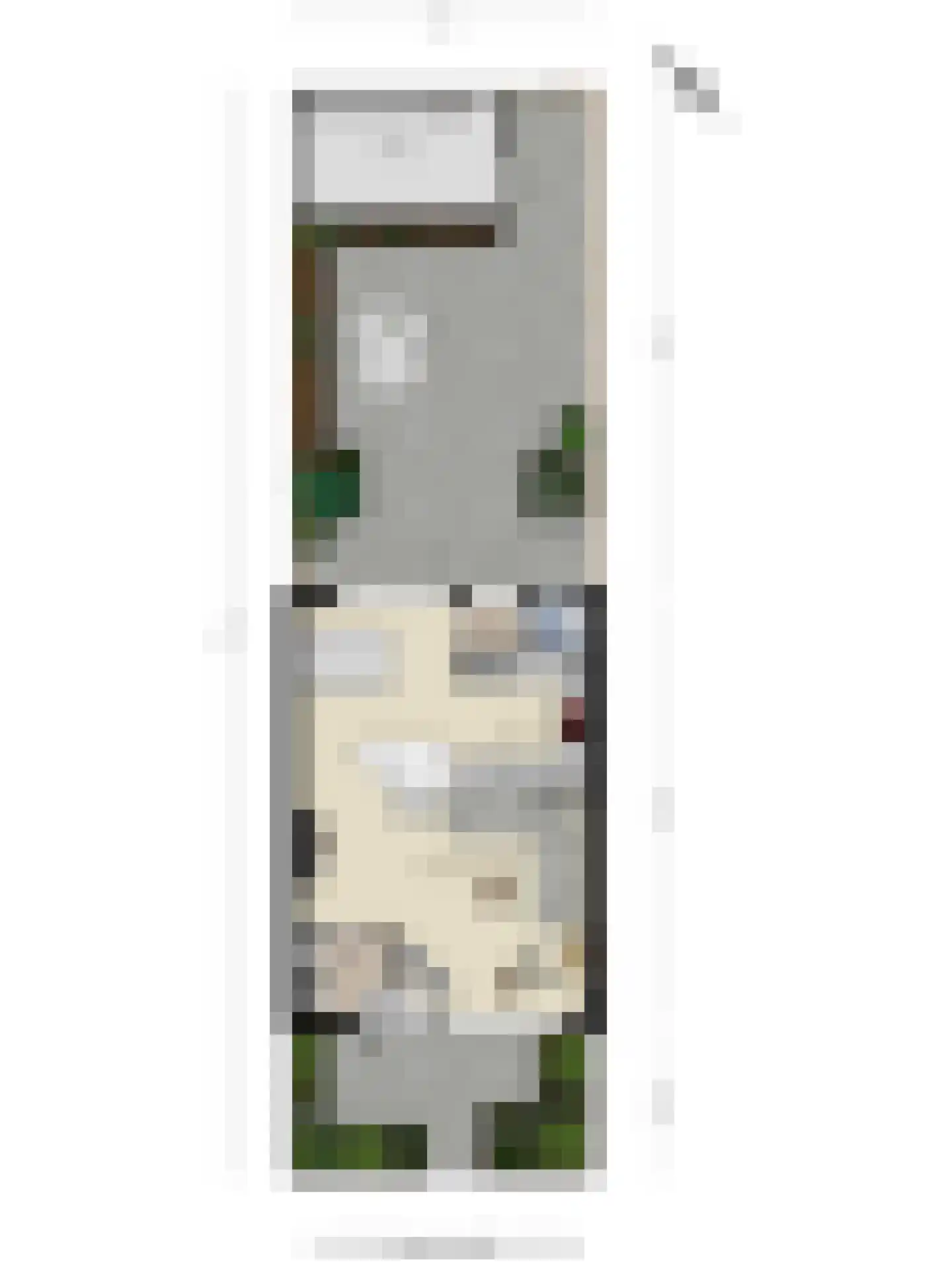 Aaltje Noordewierstraat 63 Hengelo thumbnail 37