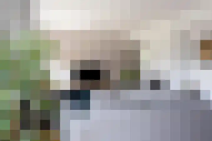 Aaltostraat 6 Dongen thumbnail 16