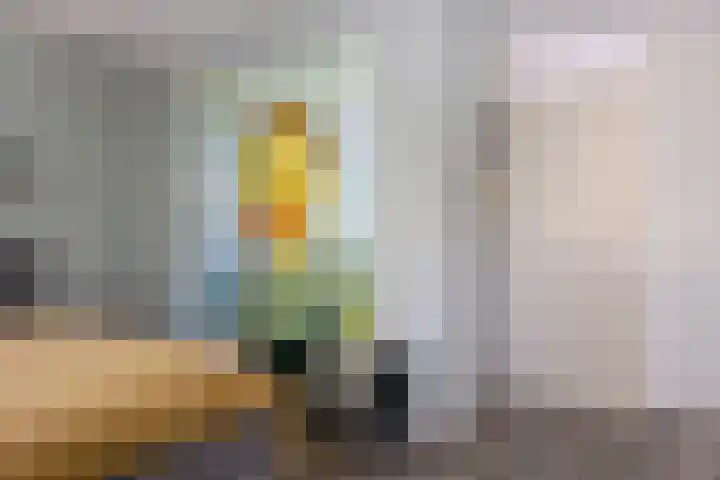 Aaltostraat 6 Dongen thumbnail 26