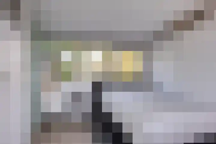 Aaltostraat 6 Dongen thumbnail 32