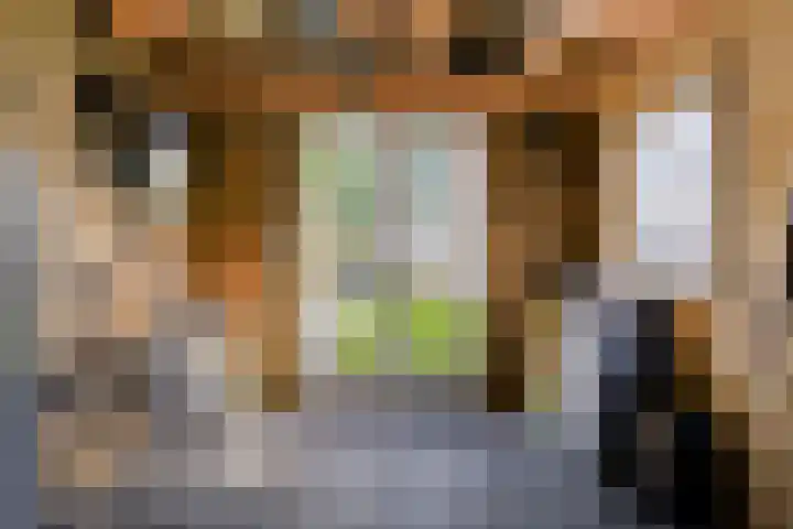 Aaltostraat 6 Dongen thumbnail 39