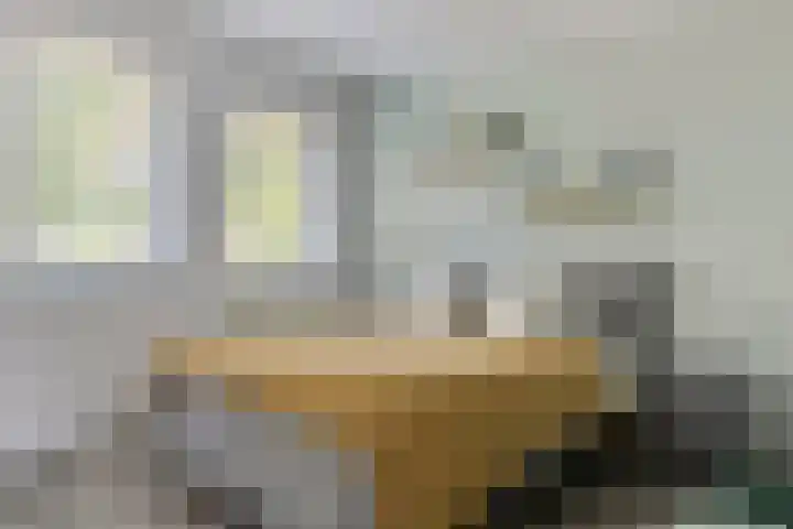 Aaltostraat 6 Dongen thumbnail 4
