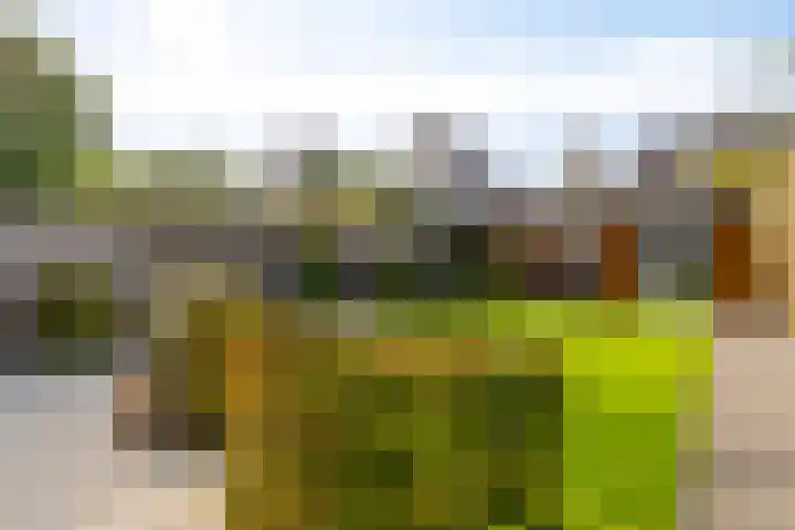 Aaltostraat 6 Dongen thumbnail 6