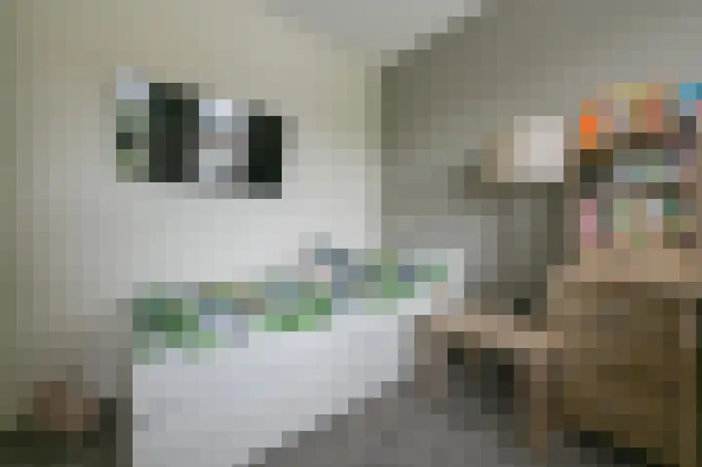 Aaltsengoed 110 Putten thumbnail 33