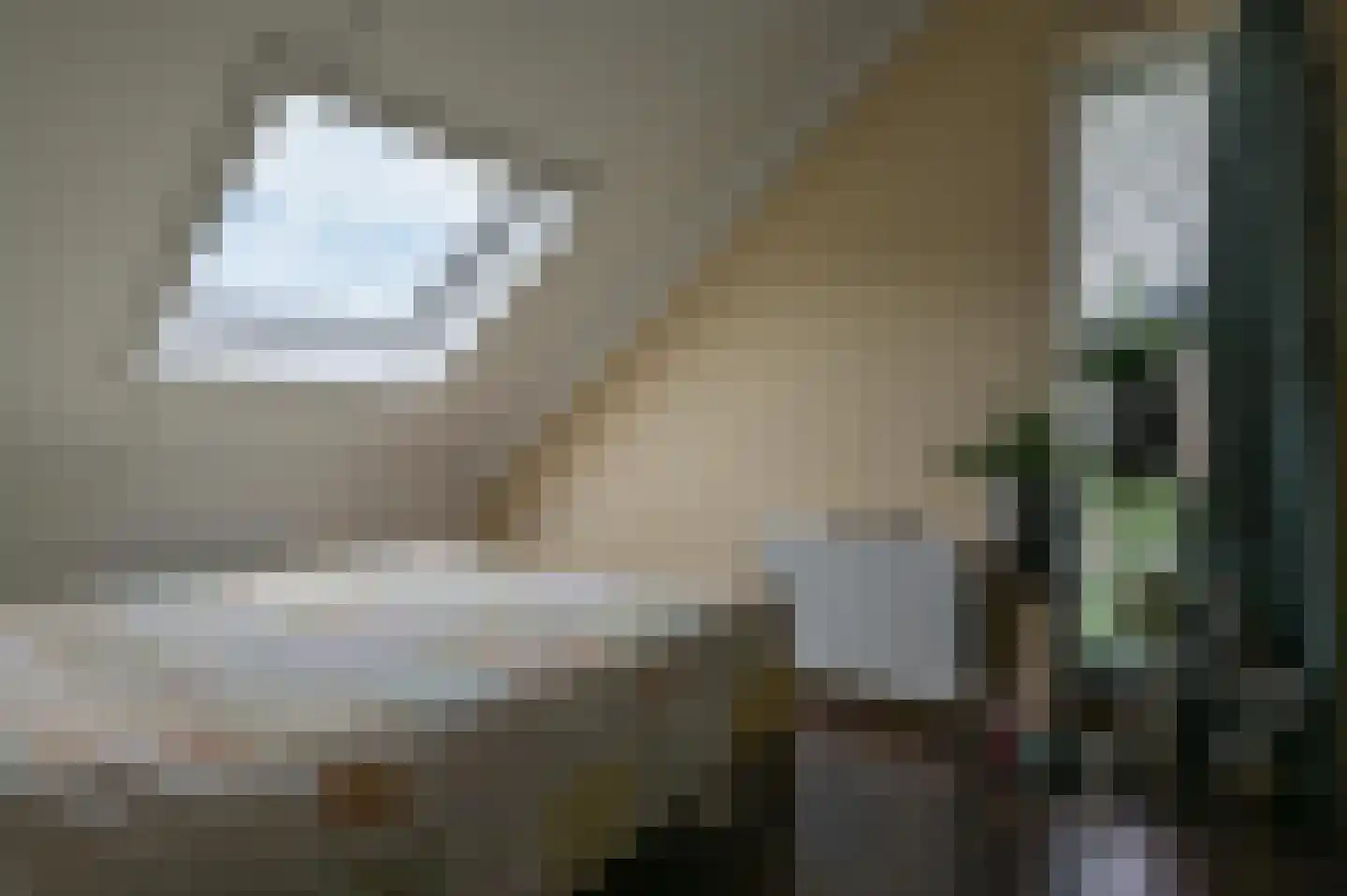 Aaltsengoed 110 Putten thumbnail 37