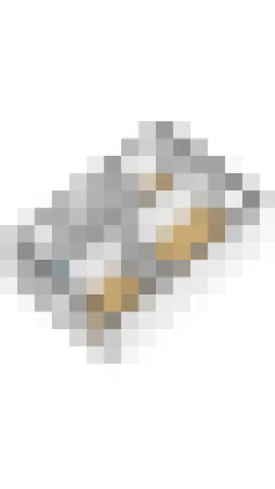 Aaltsengoed 110 Putten thumbnail 53