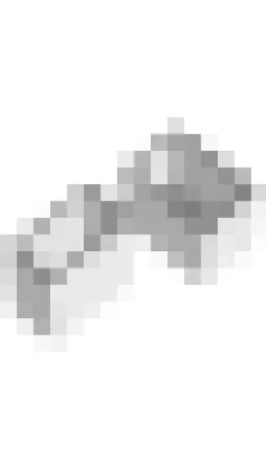 Aaltsengoed 110 Putten thumbnail 55