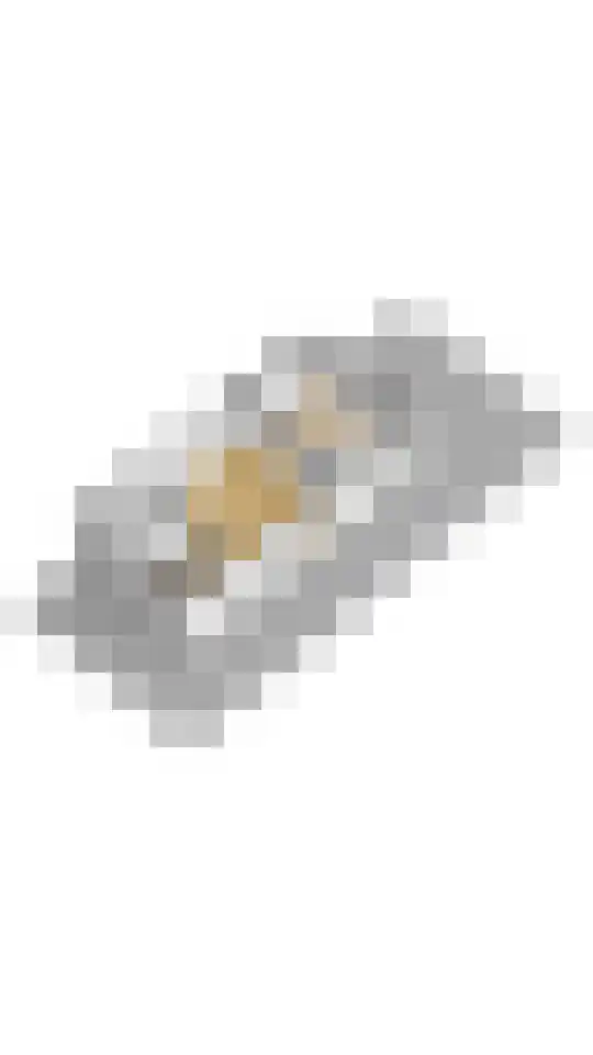 Aaltsengoed 110 Putten thumbnail 56