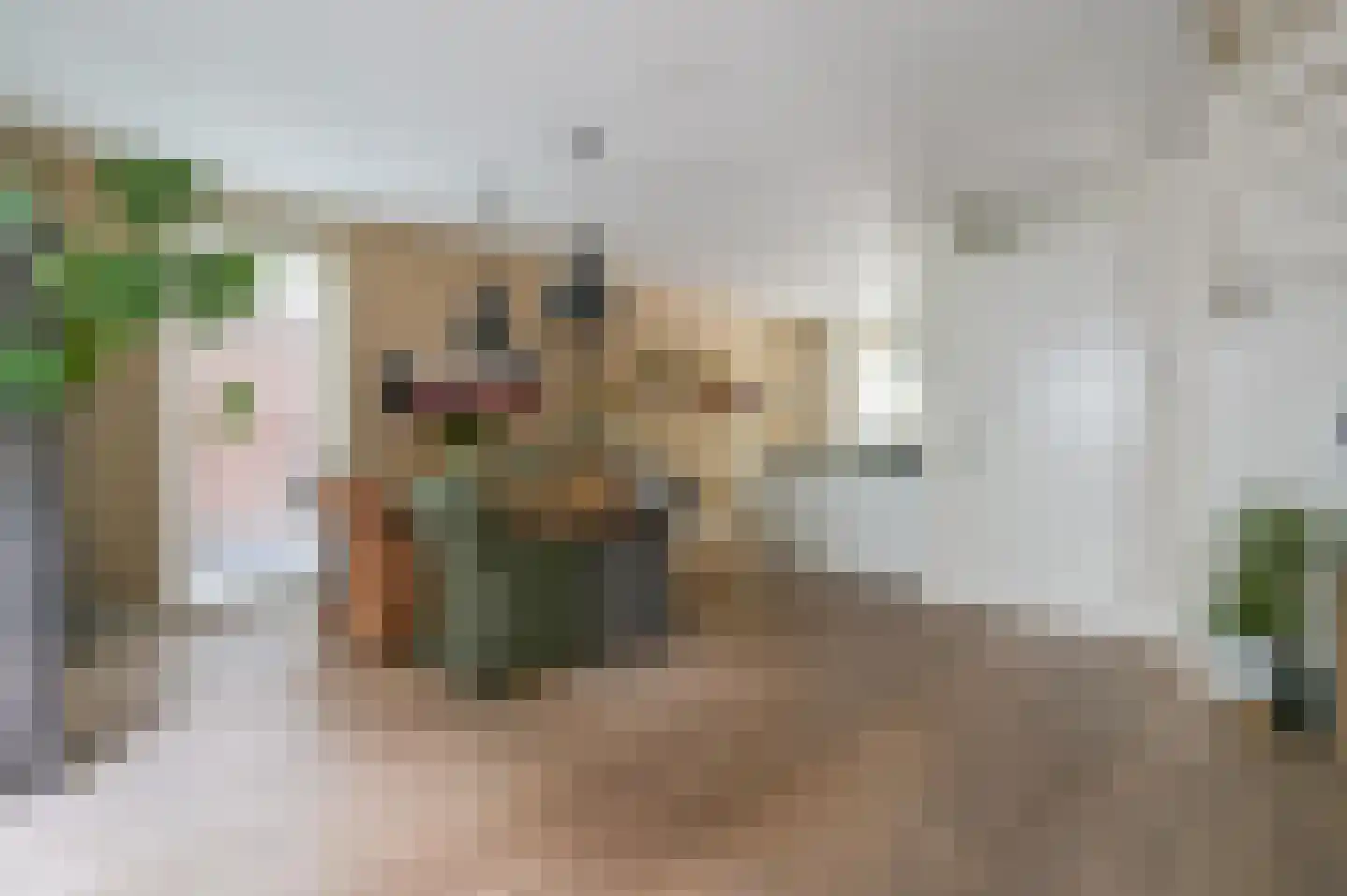 Aaltsengoed 110 Putten thumbnail 9