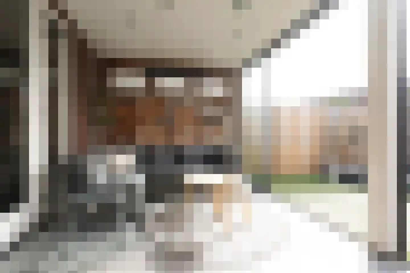 Aaltsengoed 138 Putten thumbnail 18