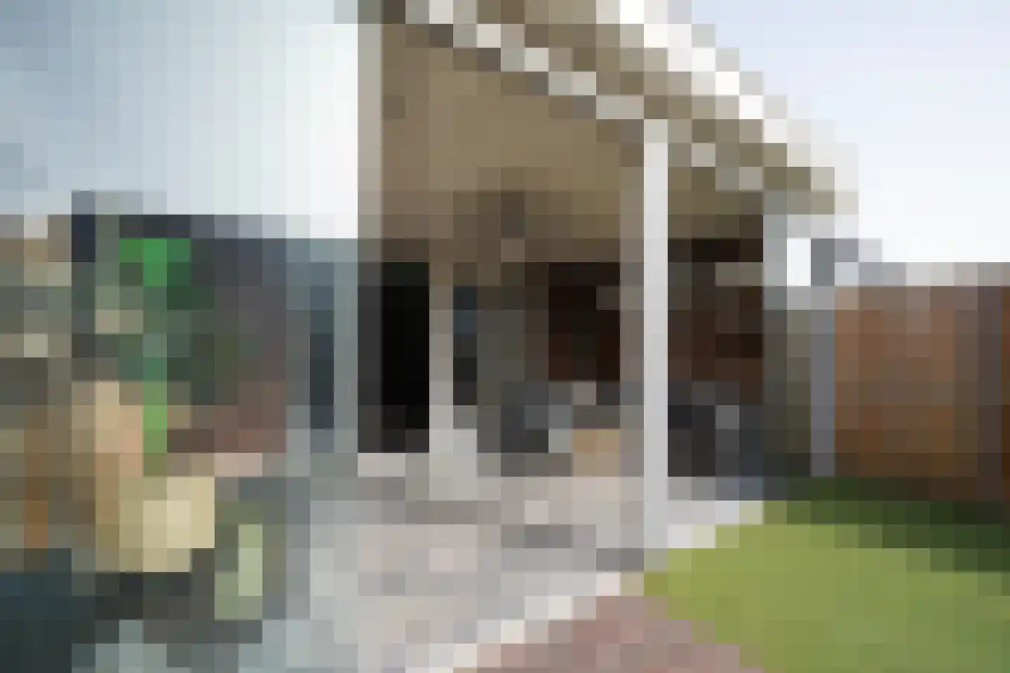 Aaltsengoed 138 Putten thumbnail 23