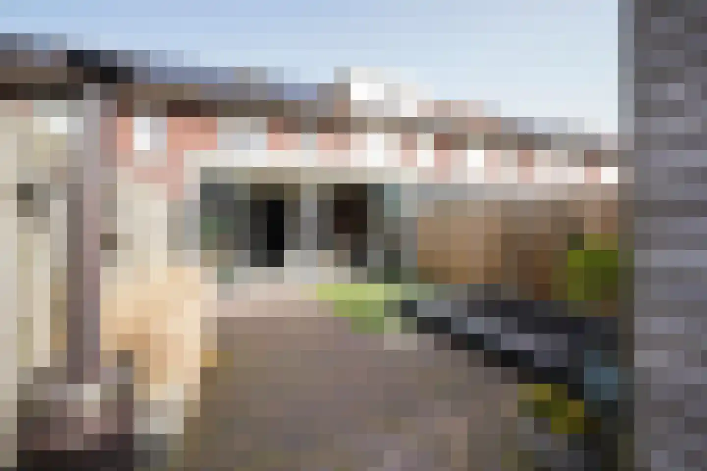 Aaltsengoed 138 Putten thumbnail 25