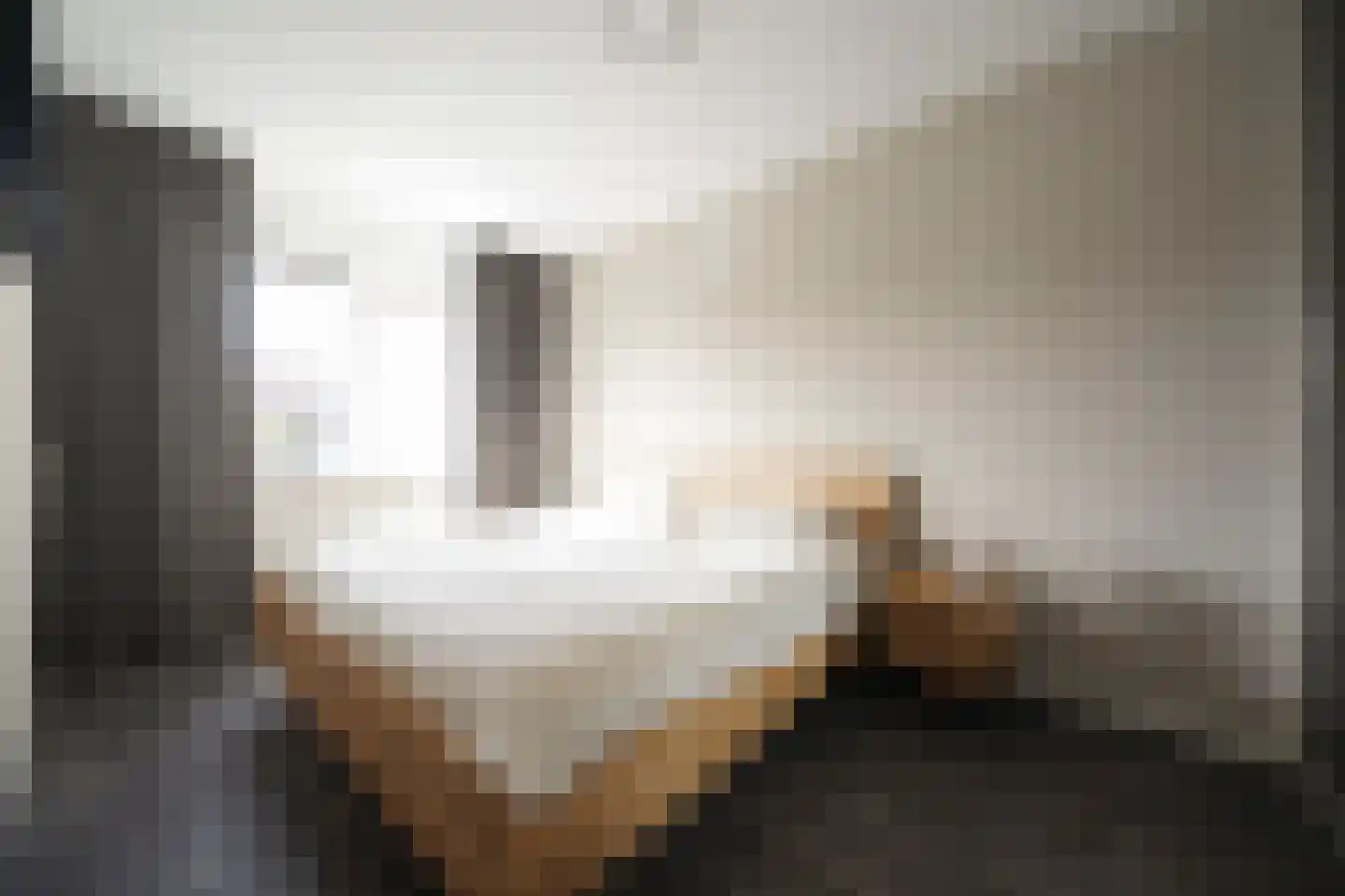 Aaltsengoed 138 Putten thumbnail 32