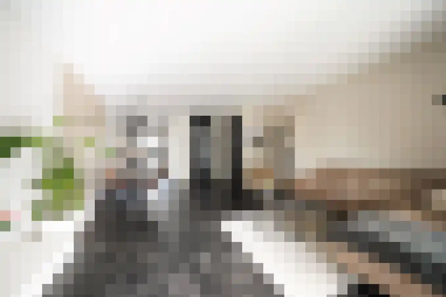 Aaltsengoed 138 Putten thumbnail 5