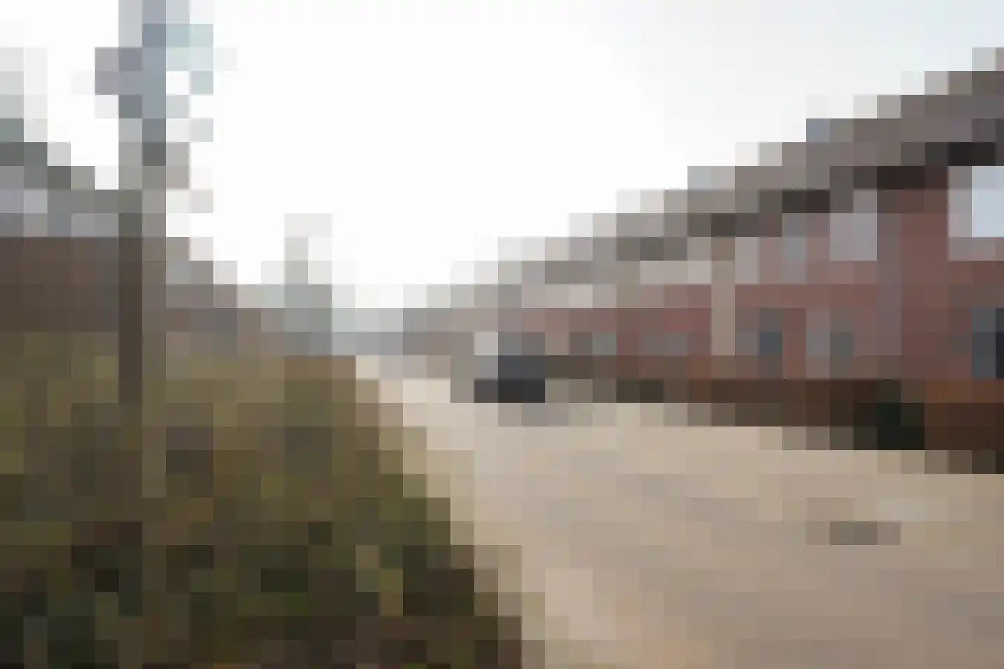 Aaltsengoed 138 Putten thumbnail 50
