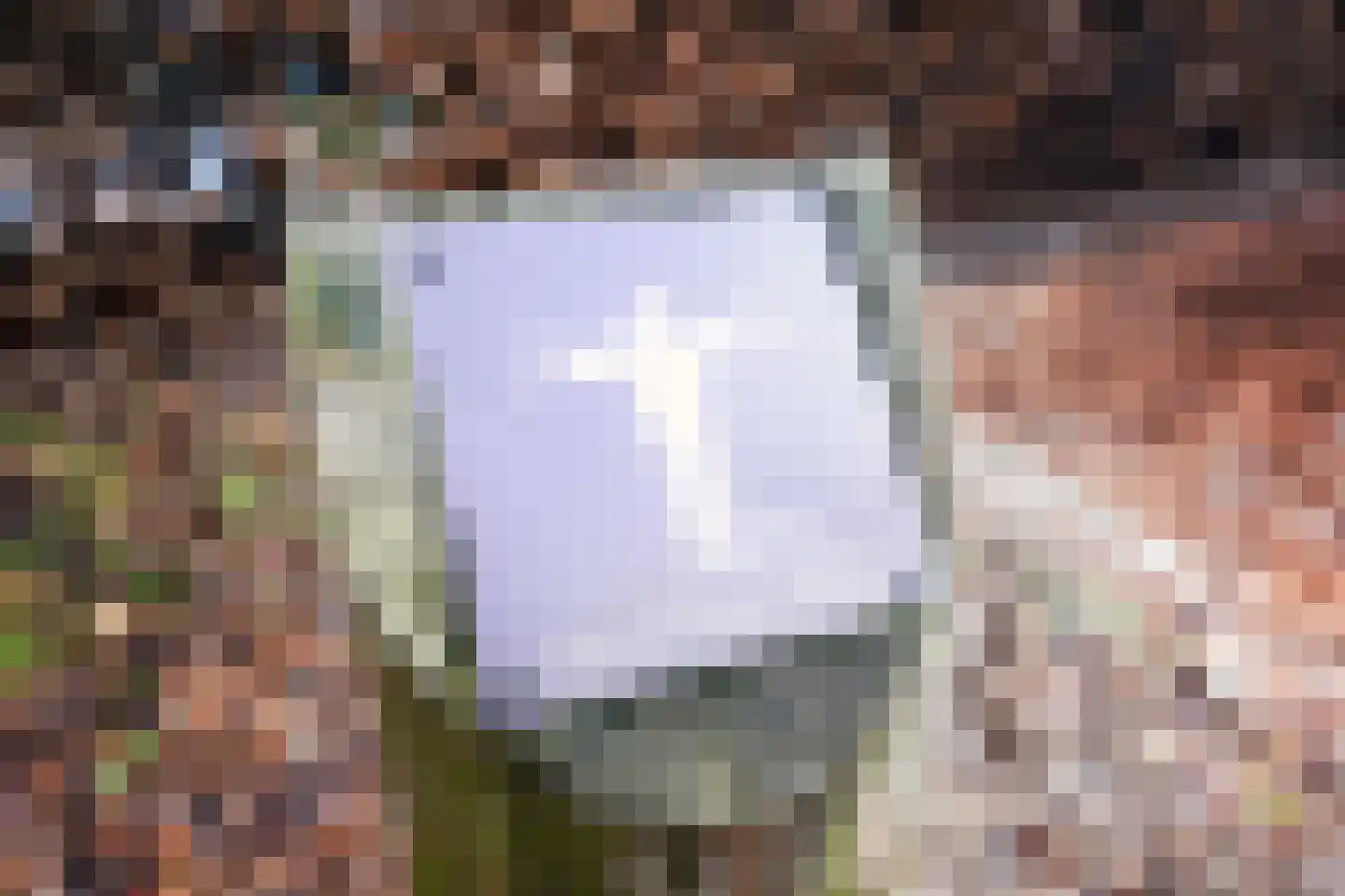 Aaltsengoed 138 Putten thumbnail 56