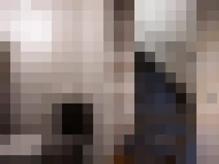 Aaltsengoed 158 Putten thumbnail 12