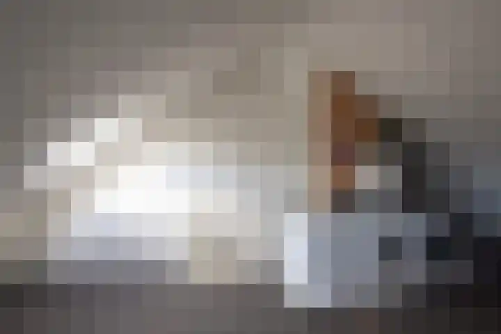 Aaltsengoed 158 Putten thumbnail 19