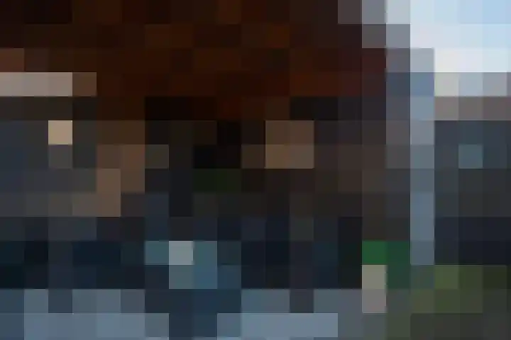 Aaltsengoed 158 Putten thumbnail 21