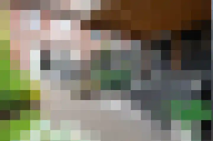 Aaltsengoed 158 Putten thumbnail 22