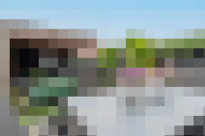 Aaltsengoed 158 Putten thumbnail 25