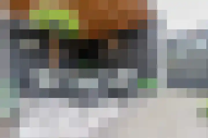 Aaltsengoed 158 Putten thumbnail 26