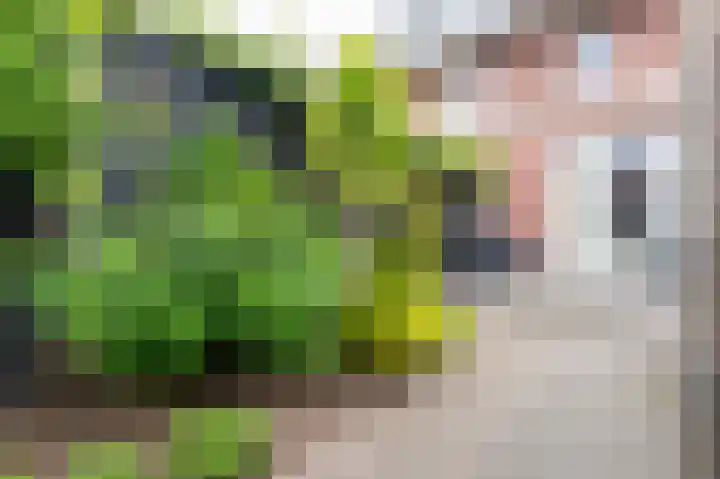 Aaltsengoed 158 Putten thumbnail 27
