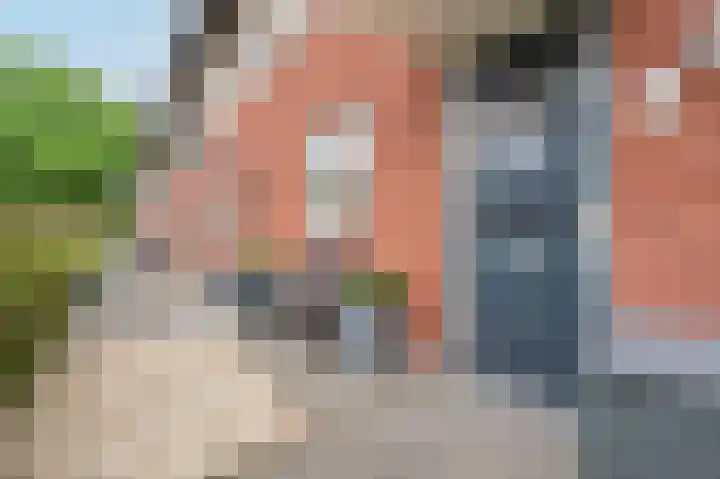 Aaltsengoed 158 Putten thumbnail 29