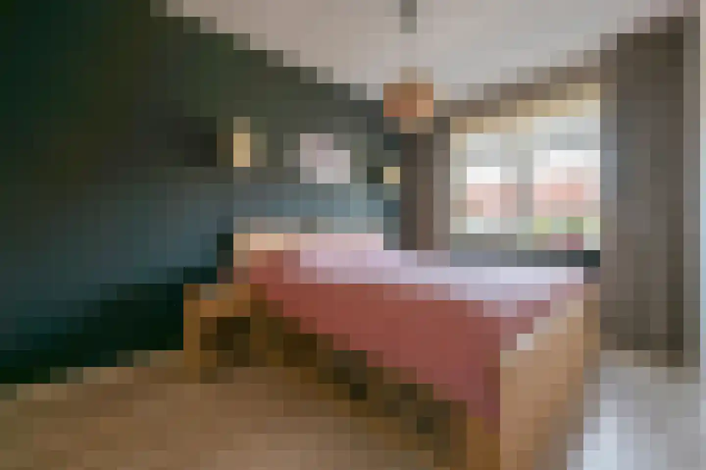 Aaltsengoed 166 Putten thumbnail 17