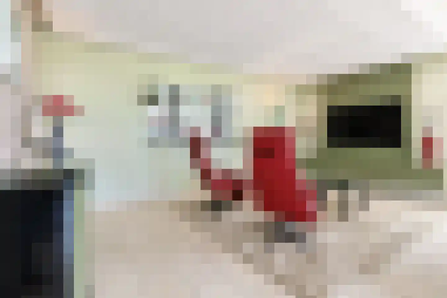 Aambeeld 13 Nieuwkoop thumbnail 15