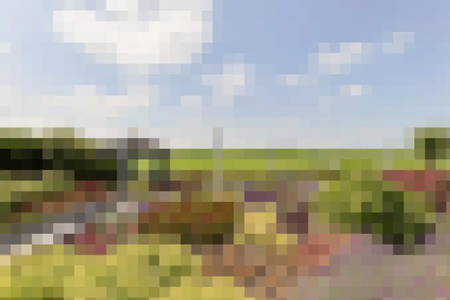 Aambeeld 13 Nieuwkoop foto 2