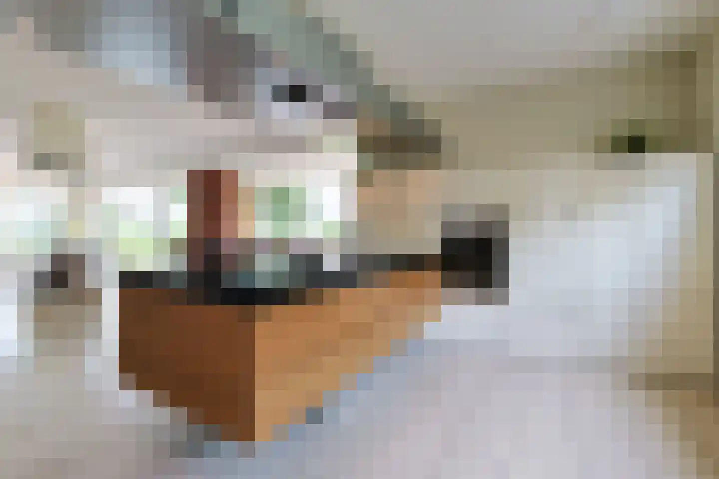Aambeeld 13 Nieuwkoop thumbnail 20