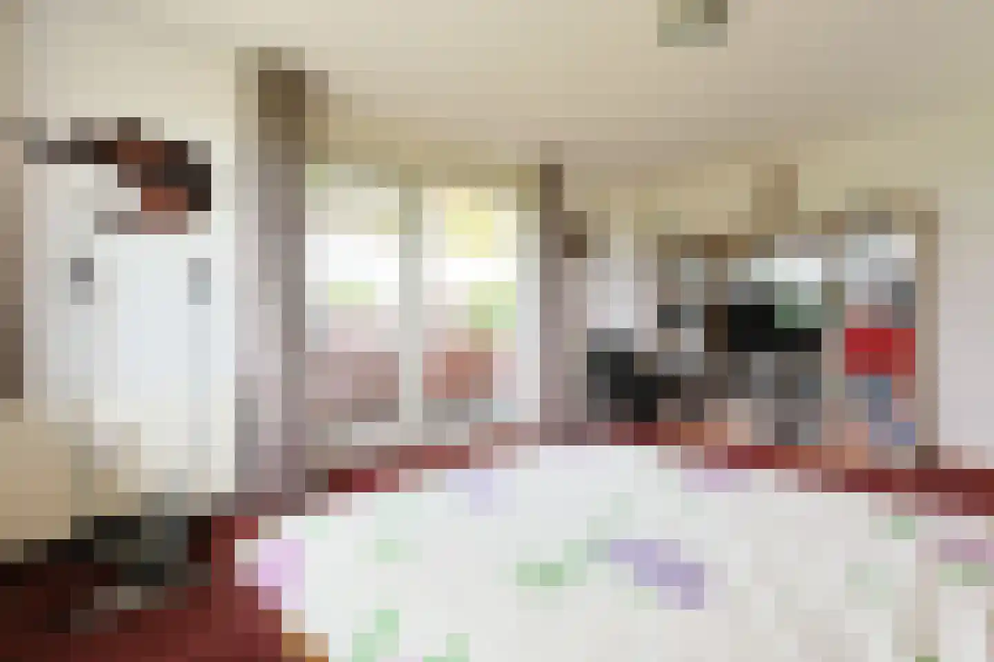 Aambeeld 13 Nieuwkoop thumbnail 30