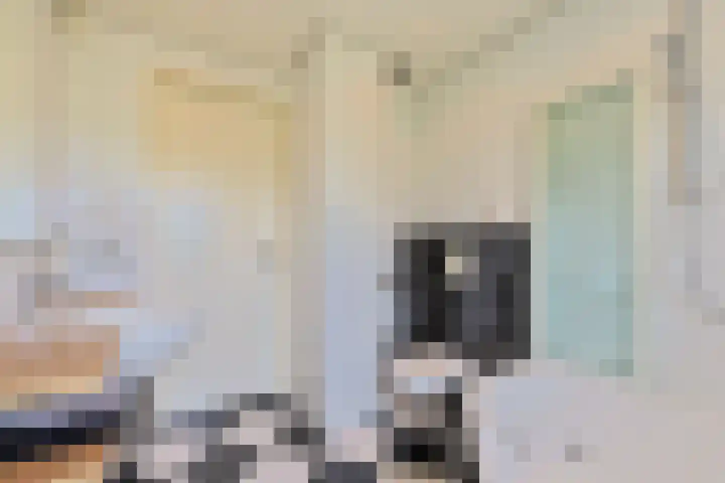 Aambeeld 13 Nieuwkoop thumbnail 32