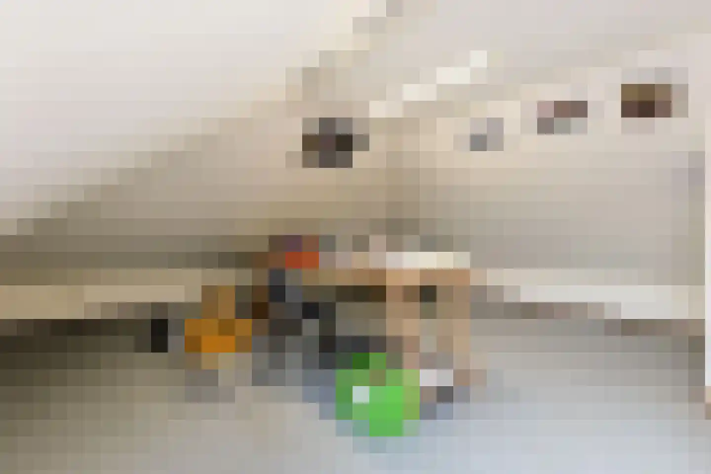 Aambeeld 13 Nieuwkoop thumbnail 39