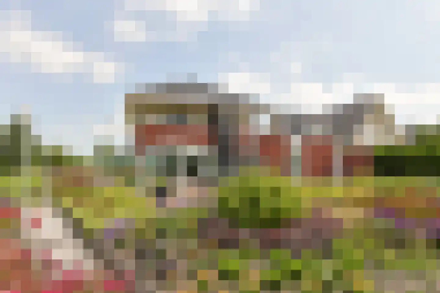 Aambeeld 13 Nieuwkoop thumbnail 45