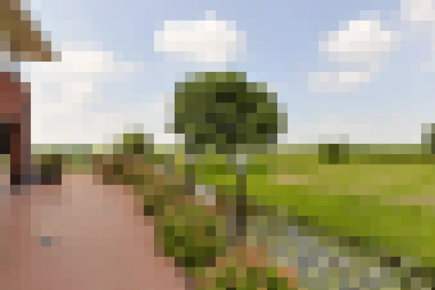 Aambeeld 13 Nieuwkoop thumbnail 48