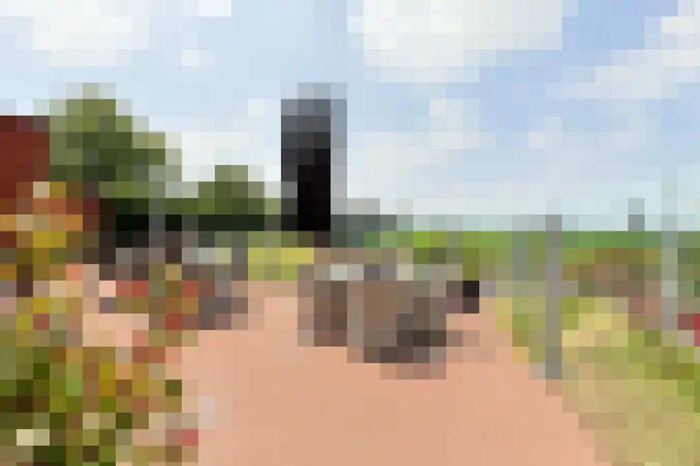 Aambeeld 13 Nieuwkoop thumbnail 49