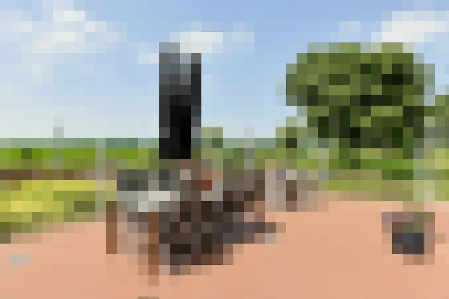 Aambeeld 13 Nieuwkoop thumbnail 50
