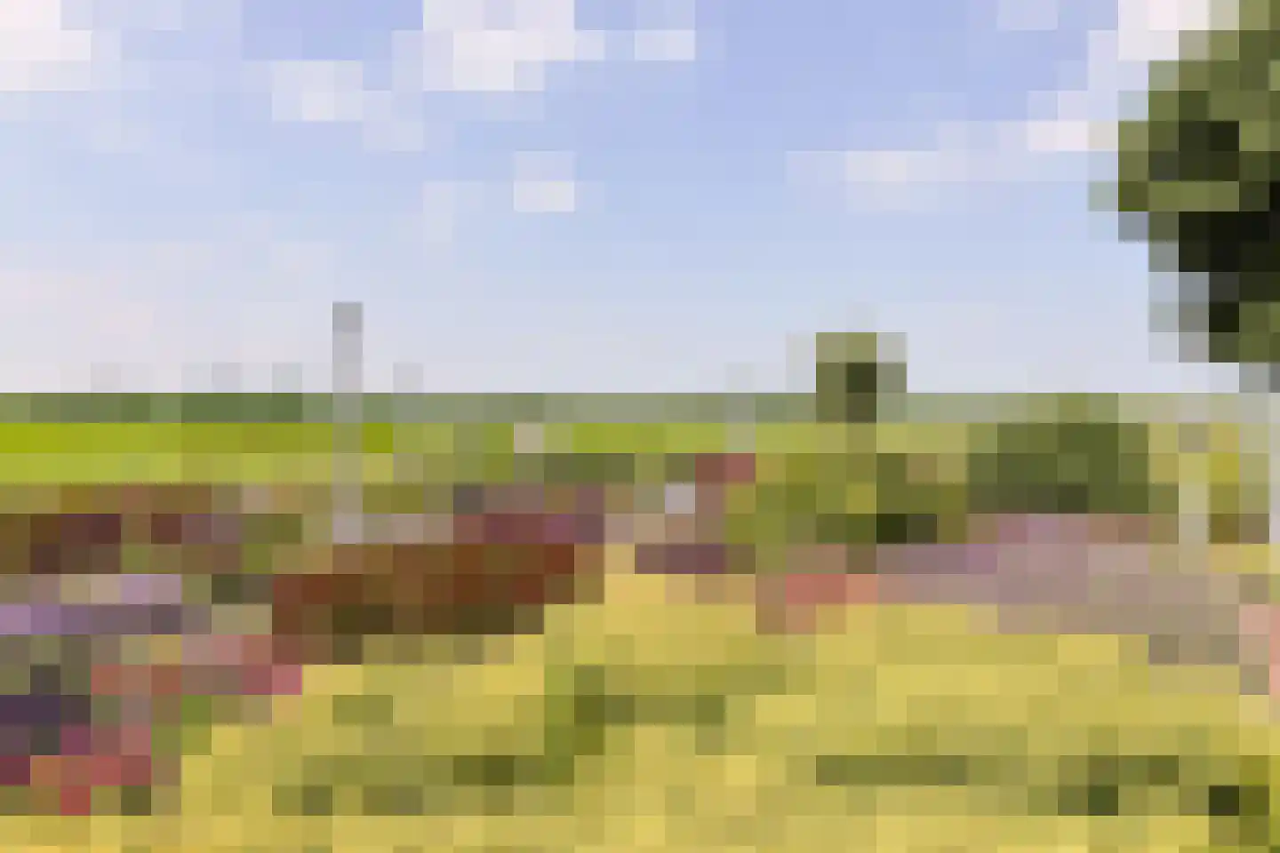 Aambeeld 13 Nieuwkoop thumbnail 51